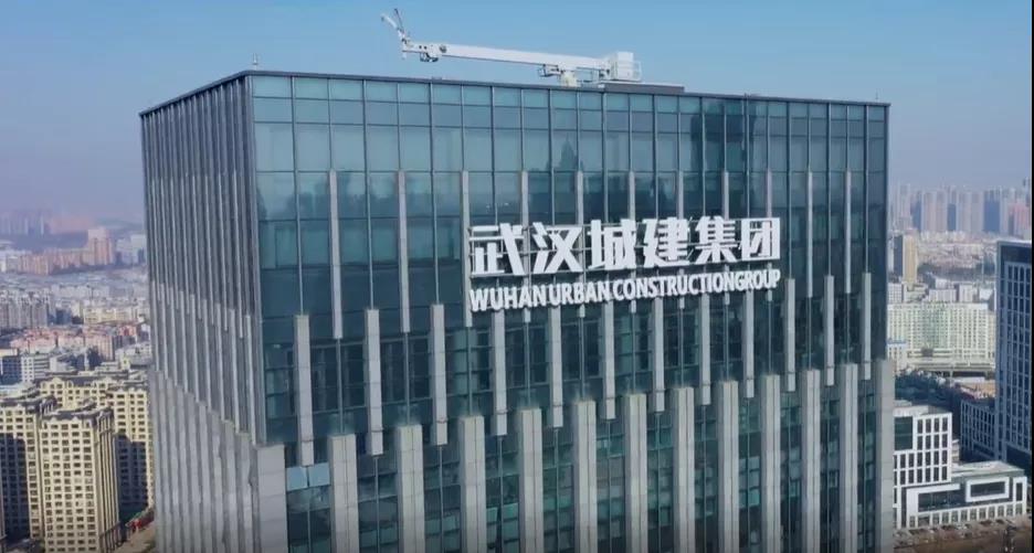 武汉金蝶合作案例